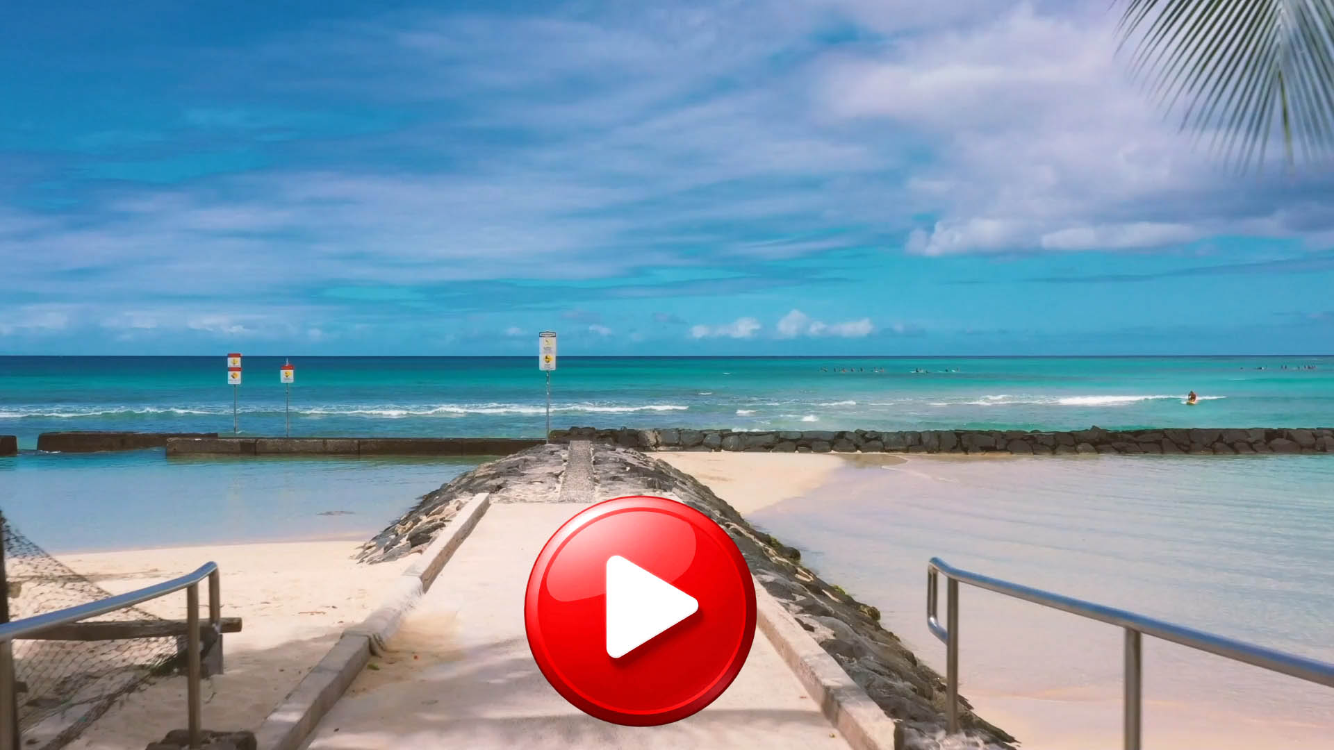 Zerberus Dragon custom electric guitar with quilted maple top guitar video demo